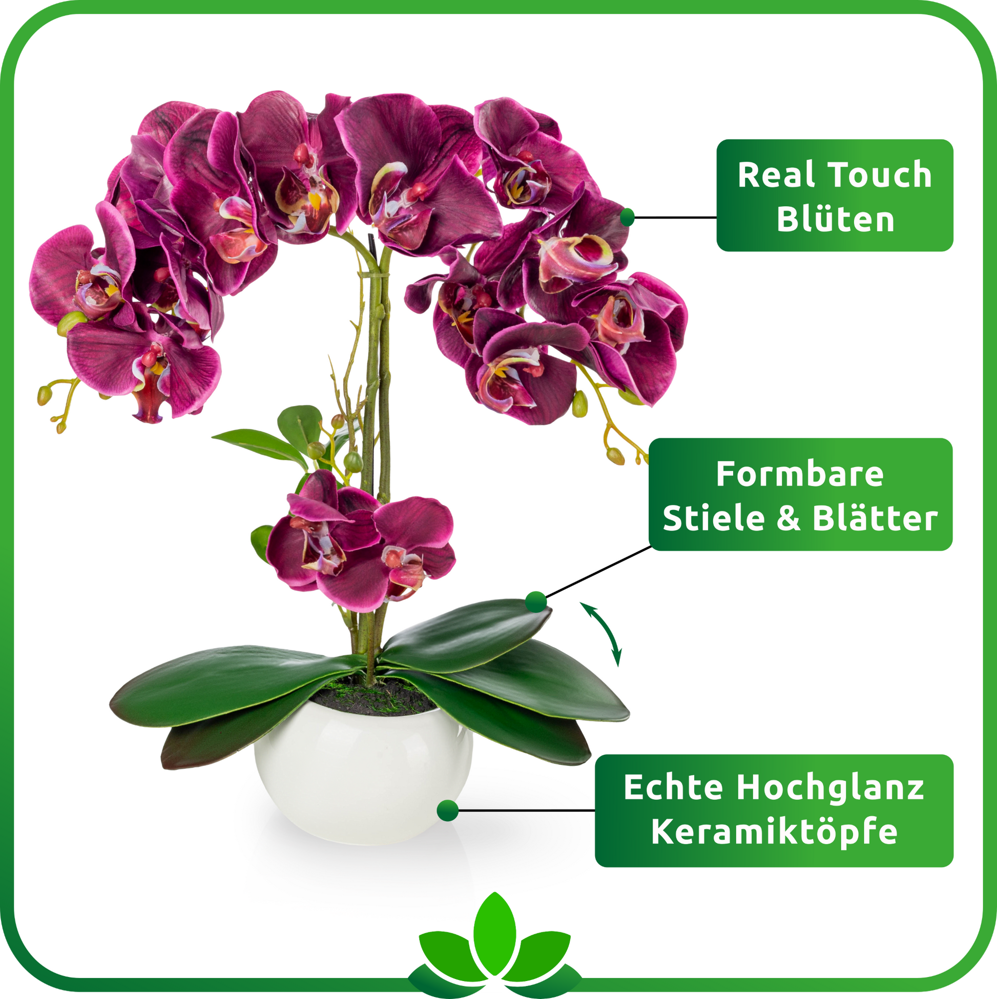 Pflegeleichte Orchidee im edlen Hochglanz-Keramiktopf, 40 cm hoch