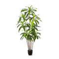 Künstliche Drachenbaum-Palme mit langen grünen Blättern, 180 cm hoch