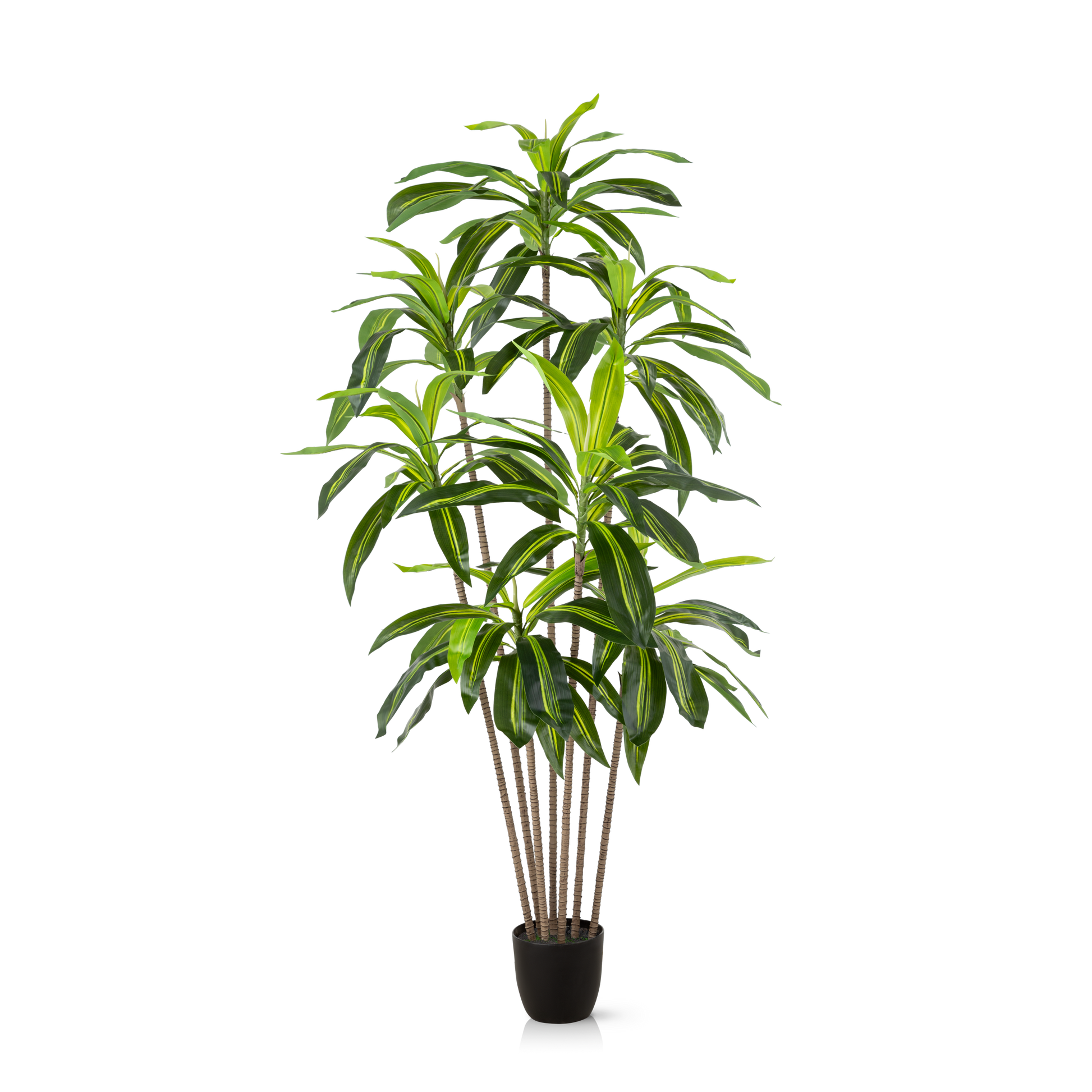 Künstliche Drachenbaum-Palme mit langen grünen Blättern, 180 cm hoch