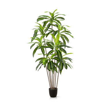 Künstliche Drachenbaum-Palme mit langen grünen Blättern, 180 cm hoch