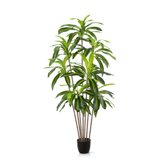 Künstliche Drachenbaum-Palme mit langen grünen Blättern, 180 cm hoch
