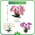 Dekoidee: Orchidee im Keramiktopf auf modernem Sideboard