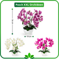 Kunstpflanze Orchidee 56 cm hoch, perfekt für Bad, Büro oder Wohnzimmer