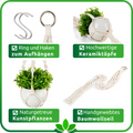 Stilvolle Makramee Blumenampel als moderne Wohnungsdekoration ohne Pflegeaufwand