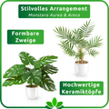 Moderner tropischer Pflanzendekor mit Monstera und Areca in edlem Topf
