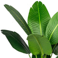 Detailaufnahme künstliche Strelitzia Nicolai mit großen grünen Blättern, naturgetreue Baum-Strelitzie Dekopflanze für Wohnzimmer und Büro