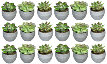 Künstliche Sukkulenten im grauen Rundtopf, realistische Dekopflanzen in verschiedenen Formen und Grüntönen für Zuhause und Büro