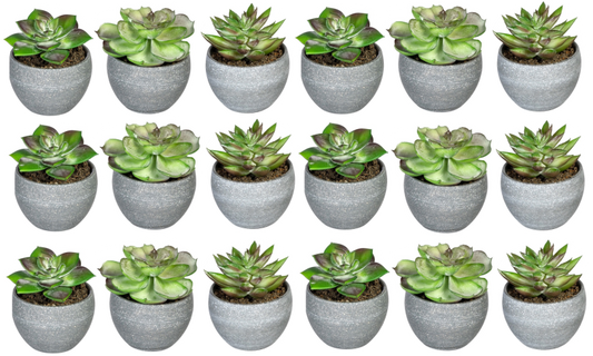Künstliche Sukkulenten im grauen Rundtopf, realistische Dekopflanzen in verschiedenen Formen und Grüntönen für Zuhause und Büro