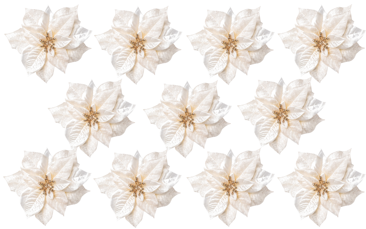 Zwölf künstliche Weihnachtssterne in Cremefarbe auf weißem Hintergrund – detailreiche Kunstblumen mit goldenen Akzenten für weihnachtliche Dekoration