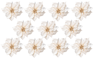 Zwölf künstliche Weihnachtssterne in Cremefarbe auf weißem Hintergrund – detailreiche Kunstblumen mit goldenen Akzenten für weihnachtliche Dekoration