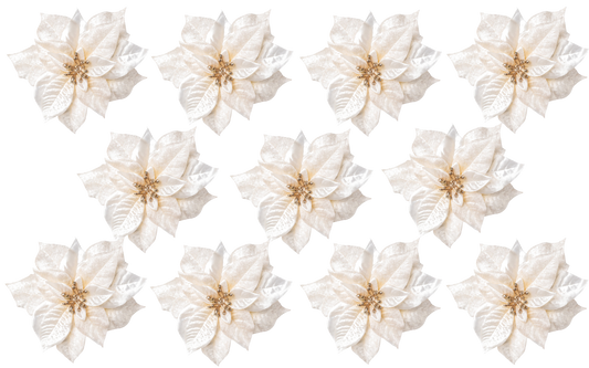 Zwölf künstliche Weihnachtssterne in Cremefarbe auf weißem Hintergrund – detailreiche Kunstblumen mit goldenen Akzenten für weihnachtliche Dekoration
