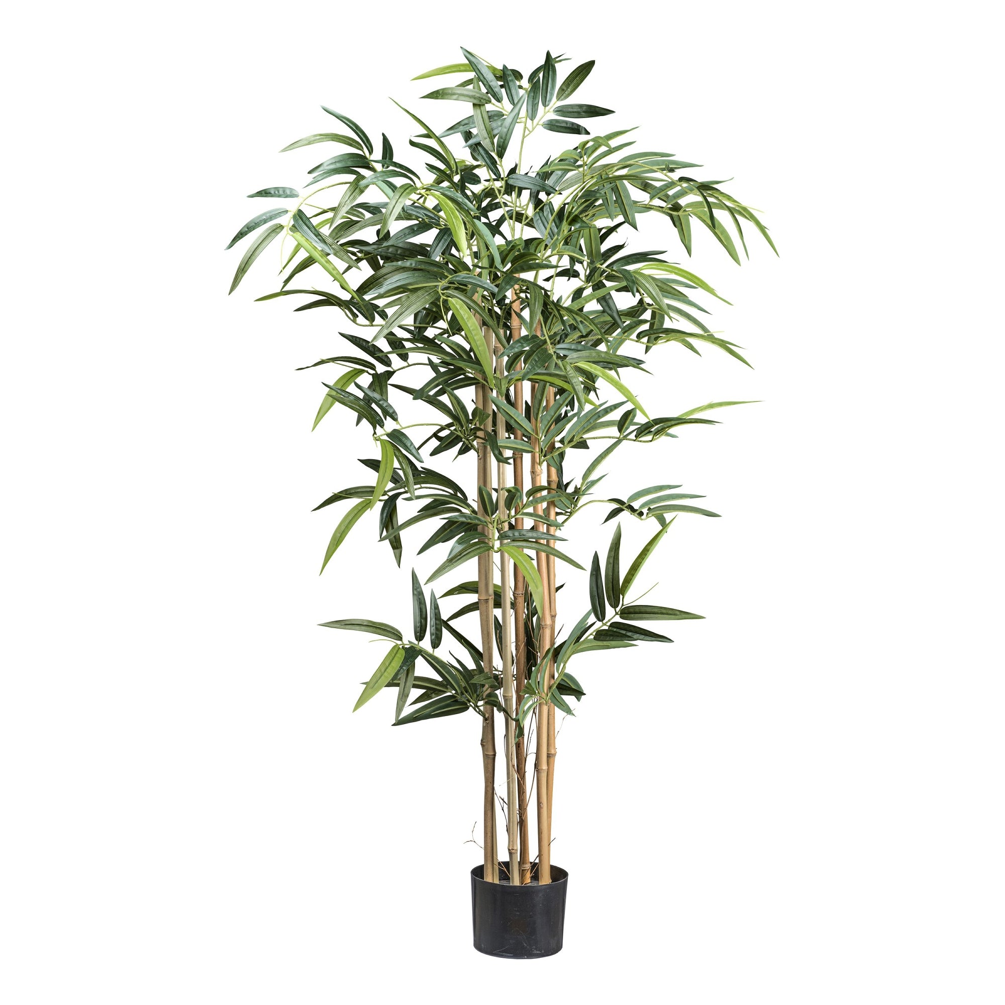 Großer künstlicher Bambus mit realistischen Bambusrohren und sattem grünem Blattwerk im schwarzen Topf – ideale Dekoration für Büro, Wohnzimmer und Empfangsbereich