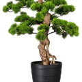 Künstlicher Bonsai Baum mit realistischen grünen Nadeln und naturgetreuem Stamm im schwarzen Topf, perfekt für Wohnzimmer und Büro