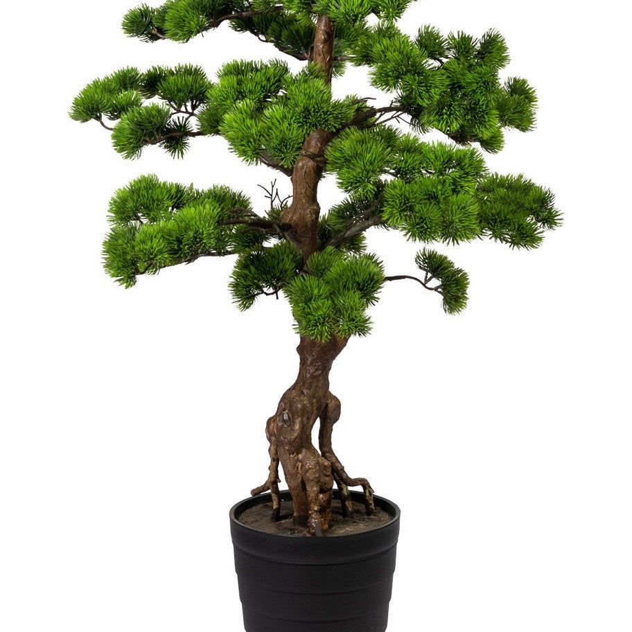 Künstlicher Bonsai Baum mit sichtbaren Wurzeln, naturgetreuem Stamm und dichten grünen Nadeln im schwarzen Pflanzgefäßv