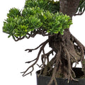 Künstlicher Bonsai Baum mit sichtbaren Wurzeln und naturgetreuem Stamm im schwarzen Pflanzgefäß, ideal für Deko und Innenbereiche