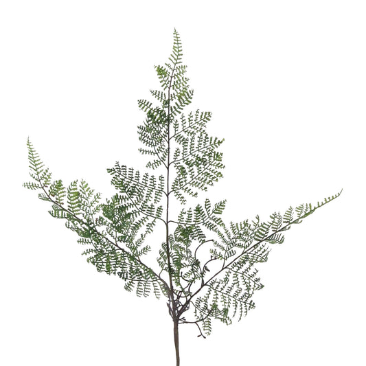 Detailreicher künstlicher Farnzweig mit feingliedrigen, zarten Blättern für naturgetreue Floristik- und Raumdekoration.