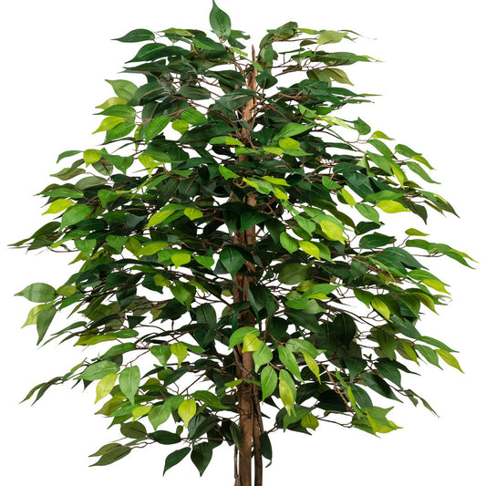 Detailansicht eines künstlichen Ficus Benjamini mit lebensecht gestalteten Blättern in verschiedenen Grüntönen – hochwertige Kunstpflanze für Innenräume