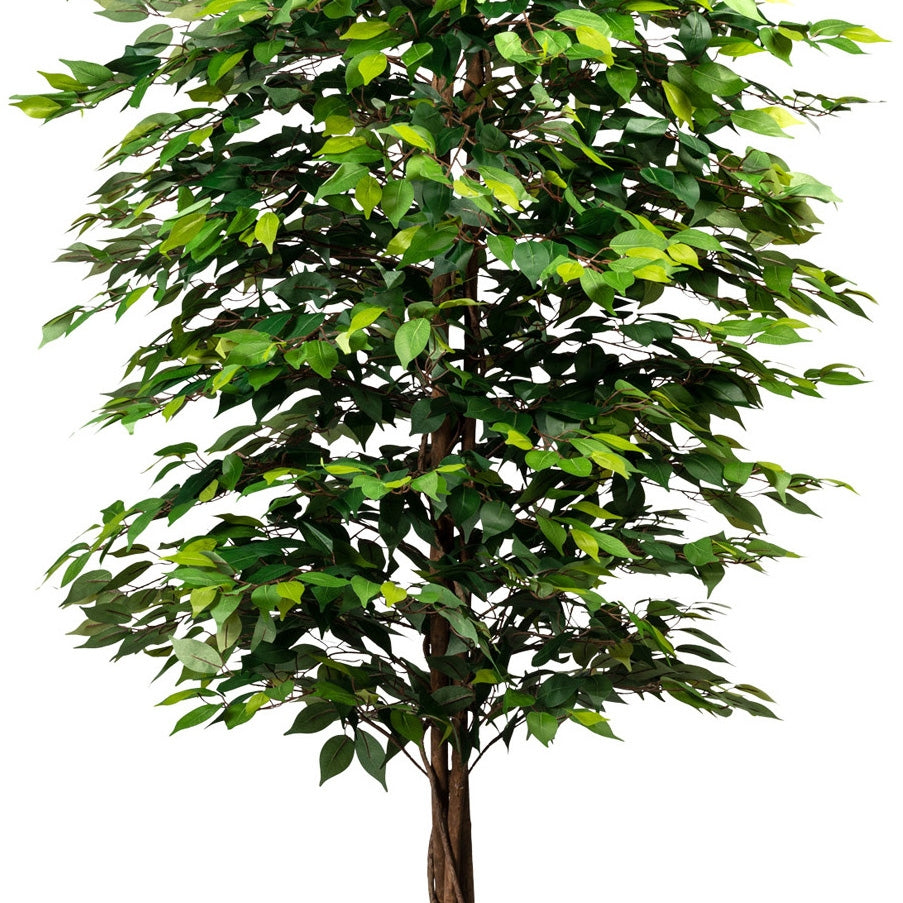 Detailansicht eines künstlichen Ficus Benjamini mit dichtem, grünem Blattwerk und geflochtenem Stamm – hochwertige Kunstpflanze für Innenräume