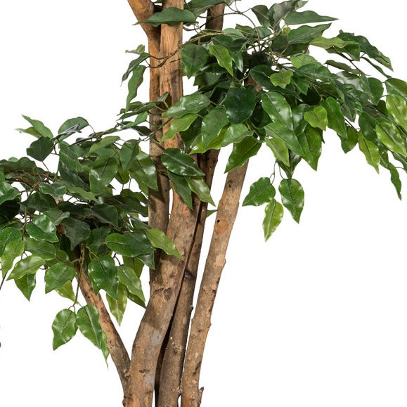 Detailaufnahme eines künstlichen Ficus Benjamini mit naturgetreuem Stamm und lebensechten, glänzenden Blättern – hochwertige Kunstpflanze für Innenräume