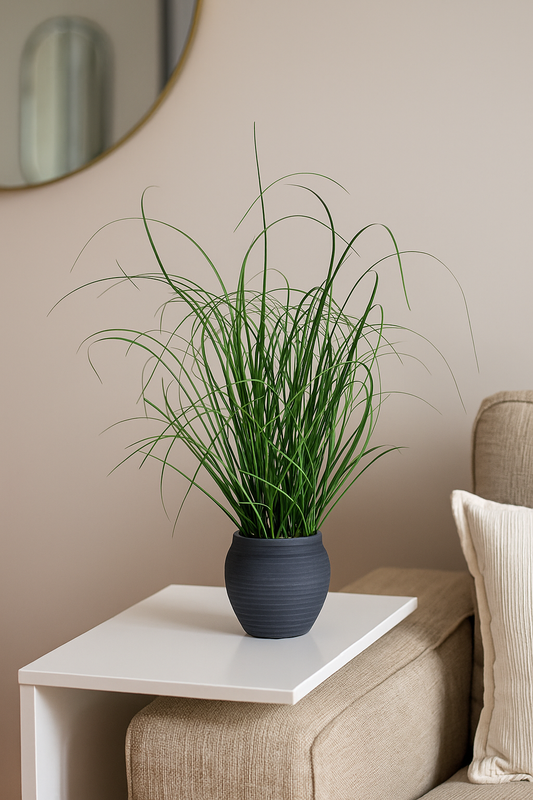 Künstlicher Grasbusch 50 cm hoch im modernen Dekotopf – naturgetreues Kunstgras mit filigranen Halmen als stilvolle Zimmerdekoration für Wohnzimmer, Büro oder Flur.