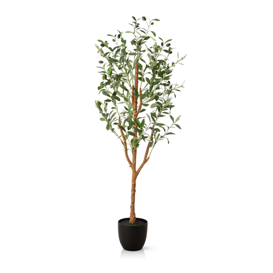 Künstlicher Olivenbaum in voller Größe auf hellem Hintergrund