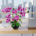 Detailaufnahme der lila Orchideenblüte mit natürlicher Struktur
