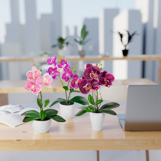 Detailaufnahme der lila-rosé Orchideenblüten mit filigraner Struktur