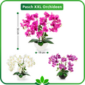 Wohnzimmerdeko mit rosa Orchidee im edlen Keramiktopf