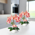 Zwei Deko-Orchideen im Set, perfekt als Badezimmer Dekoration