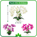 Orchidee künstlich – Kombination aus realistischer Blüte und edlem Topf