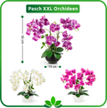 Nahaufnahme der Orchideenblätter mit feiner Maserung und Textur