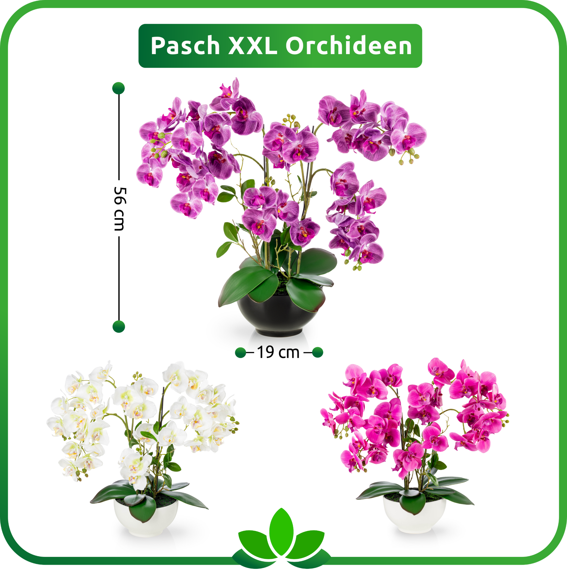Nahaufnahme der Orchideenblätter mit feiner Maserung und Textur