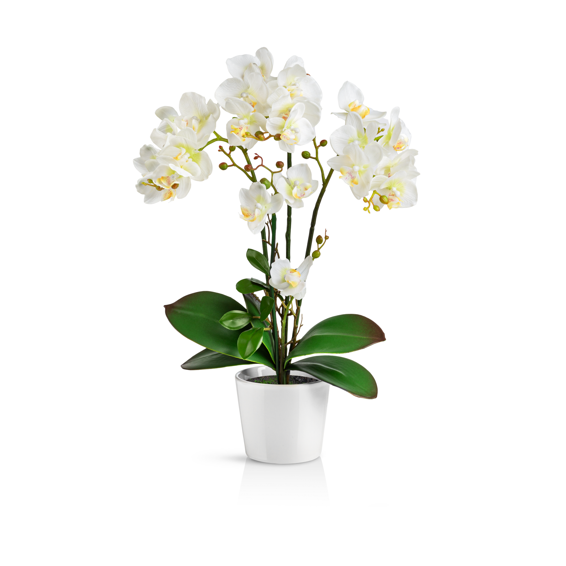 Weiße künstliche Orchidee im eleganten Keramiktopf auf Holztisch