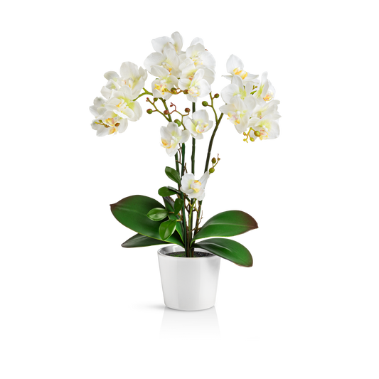 Weiße künstliche Orchidee im eleganten Keramiktopf auf Holztisch