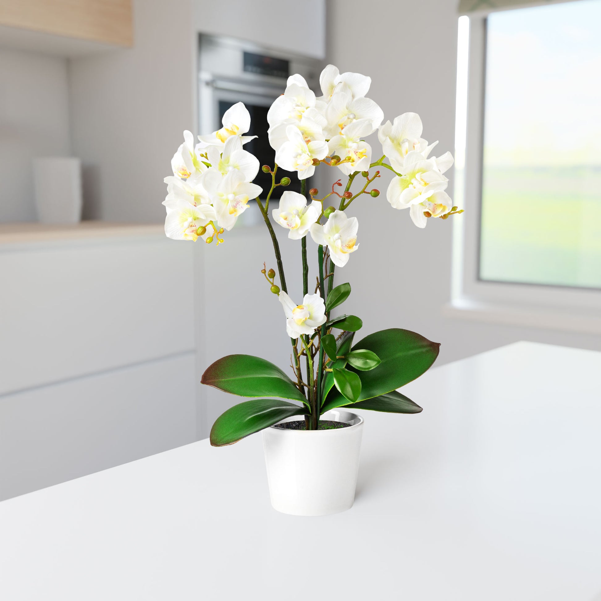 Pflegeleichte Deko-Orchidee in edlem weißen Übertopf