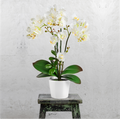 46cm große Kunstorchidee mit naturgetreuem Blütendesign