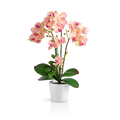 Künstliche Orchidee in glänzendem weißen Keramiktopf auf Holztisch