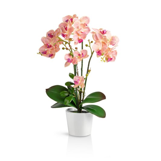 Künstliche Orchidee in glänzendem weißen Keramiktopf auf Holztisch