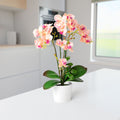 Dekorative Orchidee im Topf als Fensterbrett-Deko