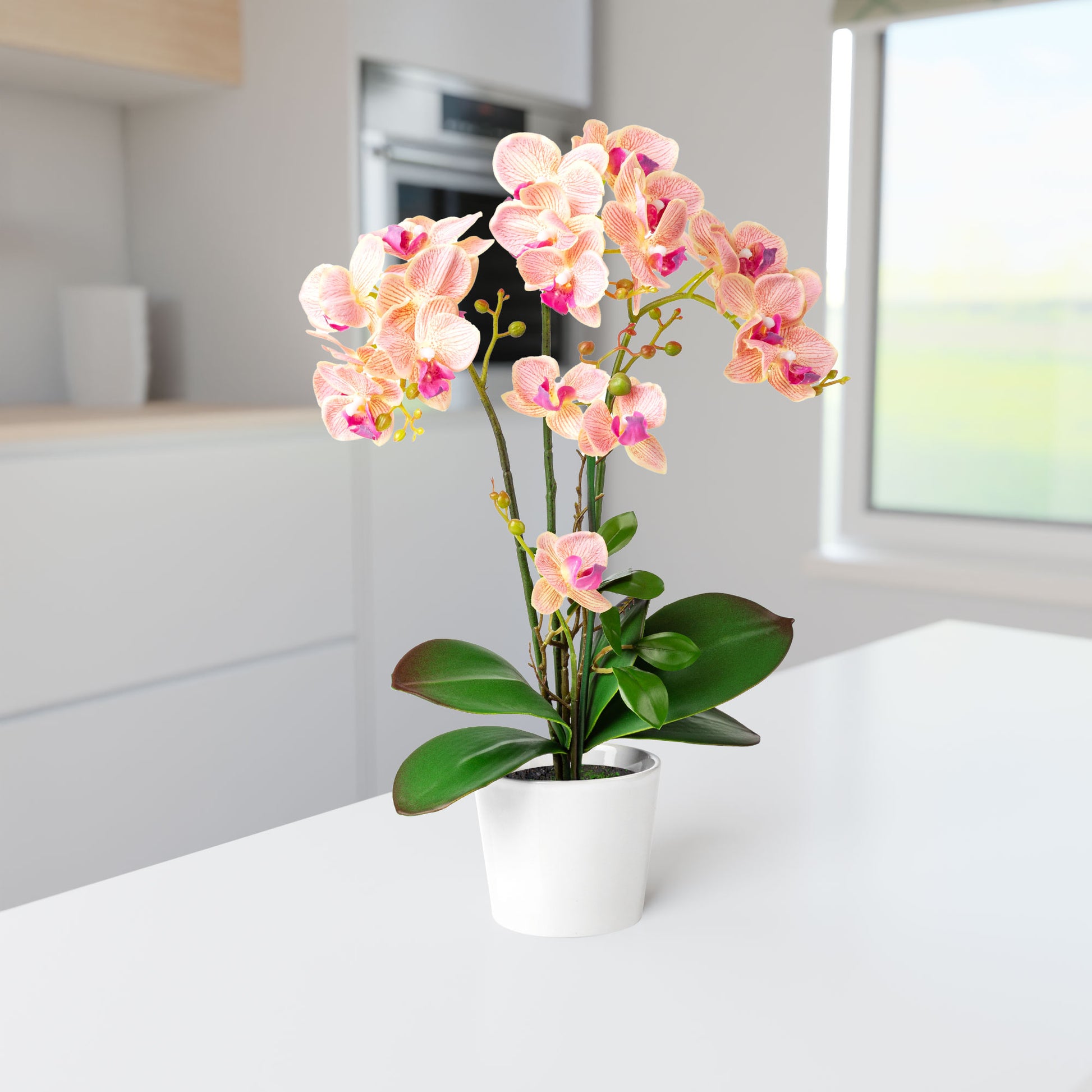 Dekorative Orchidee im Topf als Fensterbrett-Deko