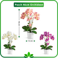 Nahaufnahme der hochwertigen künstlichen Orchideenblüten