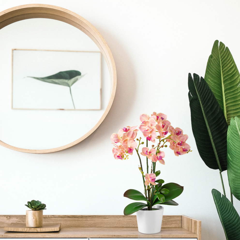 Orchidee Deko für Bad, Büro oder Wohnzimmer im Keramiktopf