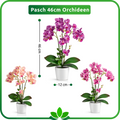 Lila Deko-Orchidee – pflegeleichte Blume für jedes Zuhause