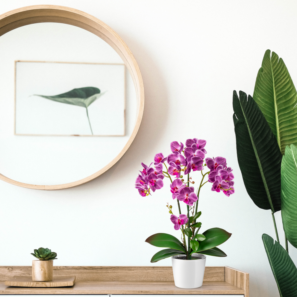 Keramiktopf mit künstlicher Orchidee – perfekt für Büro oder Bad