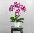 Nahaufnahme der kunstvoll gearbeiteten Orchideenblätter und Blüten
