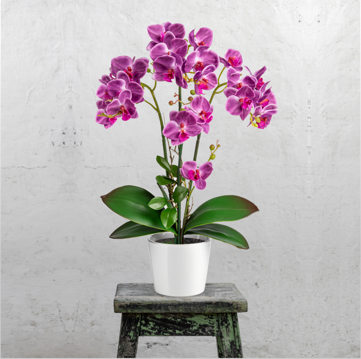 Nahaufnahme der kunstvoll gearbeiteten Orchideenblätter und Blüten