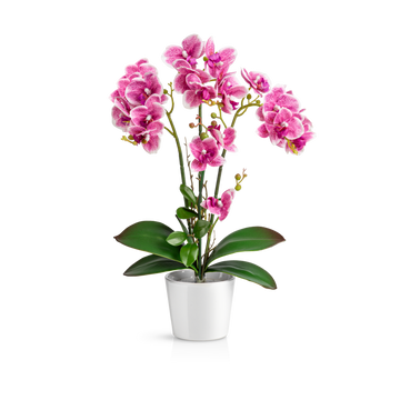 Künstliche weiße Orchidee in elegantem Keramiktopf, 46 cm hoch