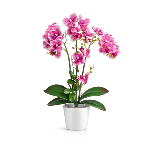 Künstliche weiße Orchidee in elegantem Keramiktopf, 46 cm hoch