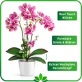Pflegeleichte künstliche Orchidee als stilvolle Deko im Wohnzimmer