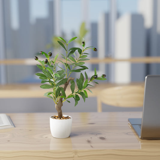 Detailaufnahme der grünen Blätter vom Mini Olivenbaum in Keramiktopf